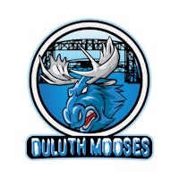 the logo for duluth mooses